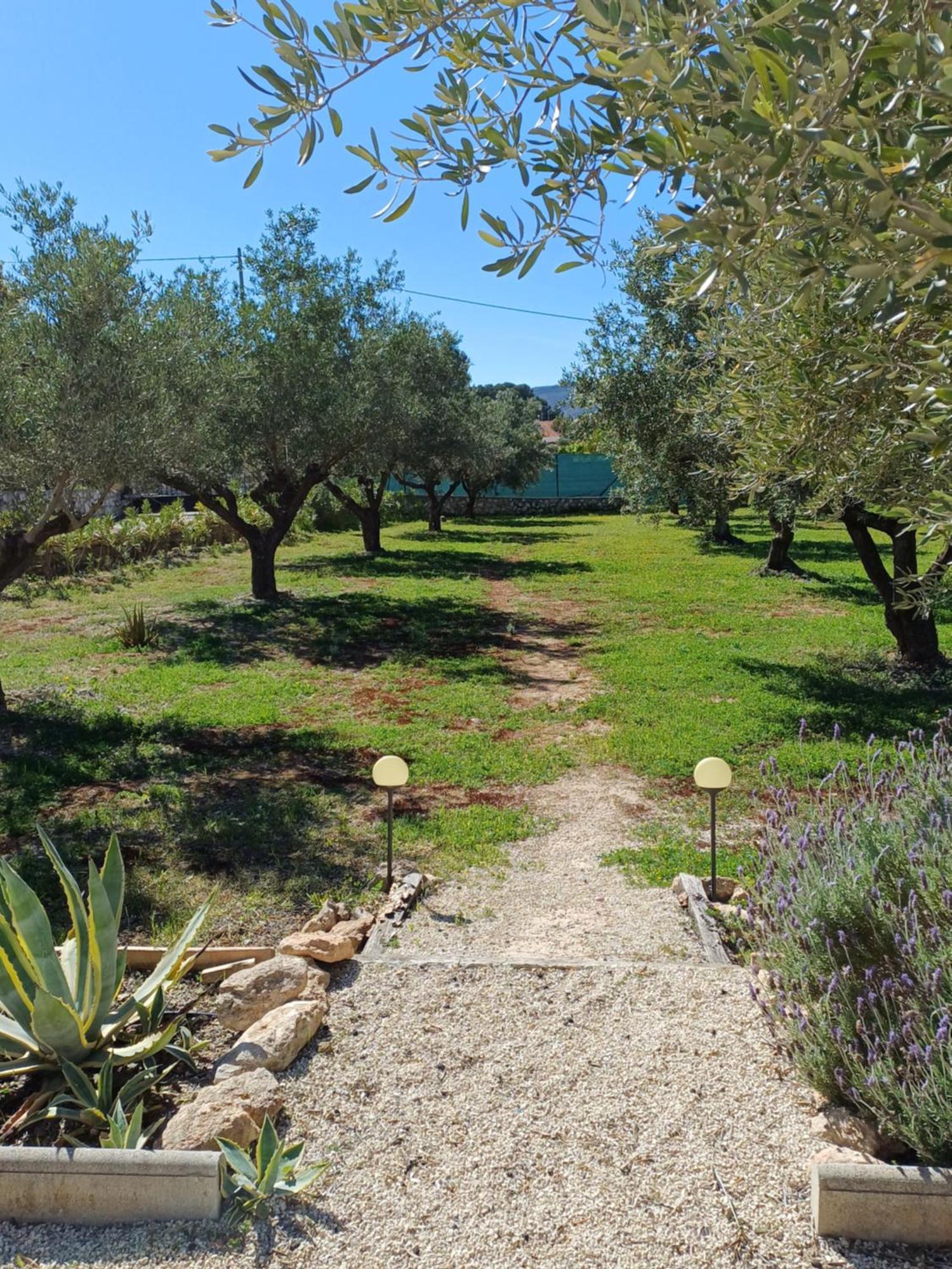 B&B Casa Vitalidad Ontinyent Dış mekan fotoğraf